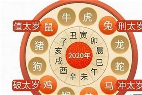 属虎人2023年运势|属虎人2023年全年运势运程 生肖虎遇兔年每月运势完。